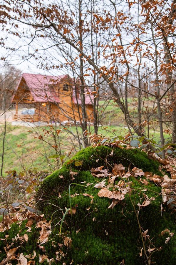 Brvnaria Villa Slatina Varoš Dış mekan fotoğraf